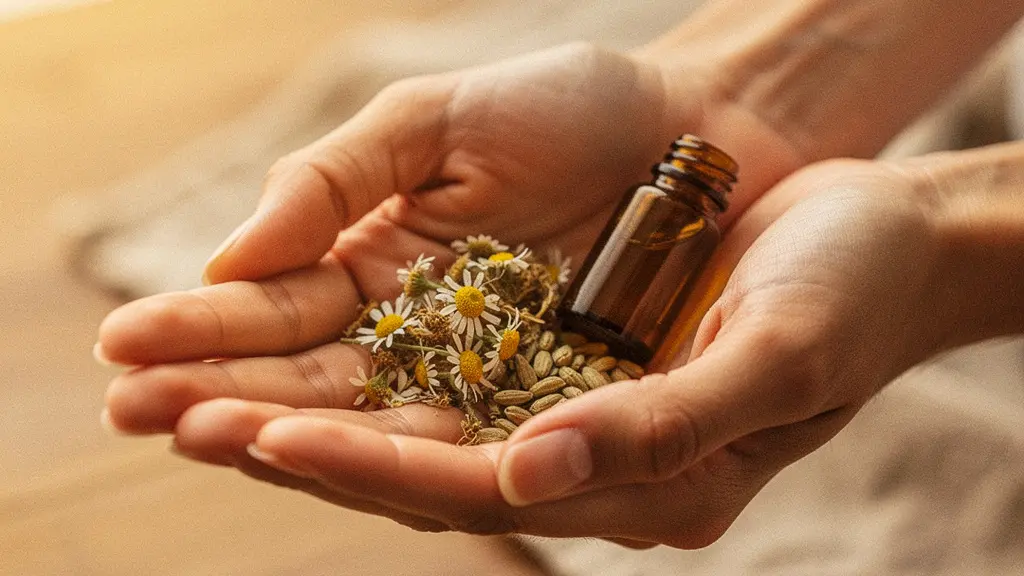 Main de femme tenant délicatement des graines de chanvre et des fleurs séchées de camomille au-dessus d'une surface en bois clair, évoquant la prévention naturelle et le soin au quotidien.