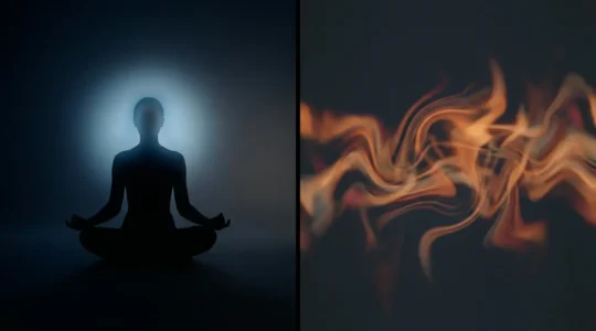 Illustration montrant la différence d'interaction entre le CBD et le THC avec les récepteurs du cerveau humain