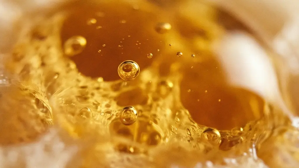 Macro-photographie d'une goutte d'huile doree absorbee par une surface poreuse organique, illustrant la saturation progressive des cellules adipeuses par les cannabinoides