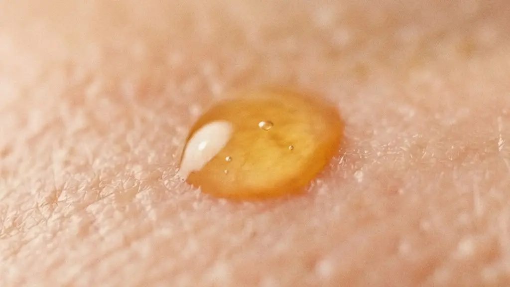 Vue macro extrême de la texture d'une peau montrant les détails des ridules et la structure dermique, évoquant l'impact du stress oxydatif sur le collagène